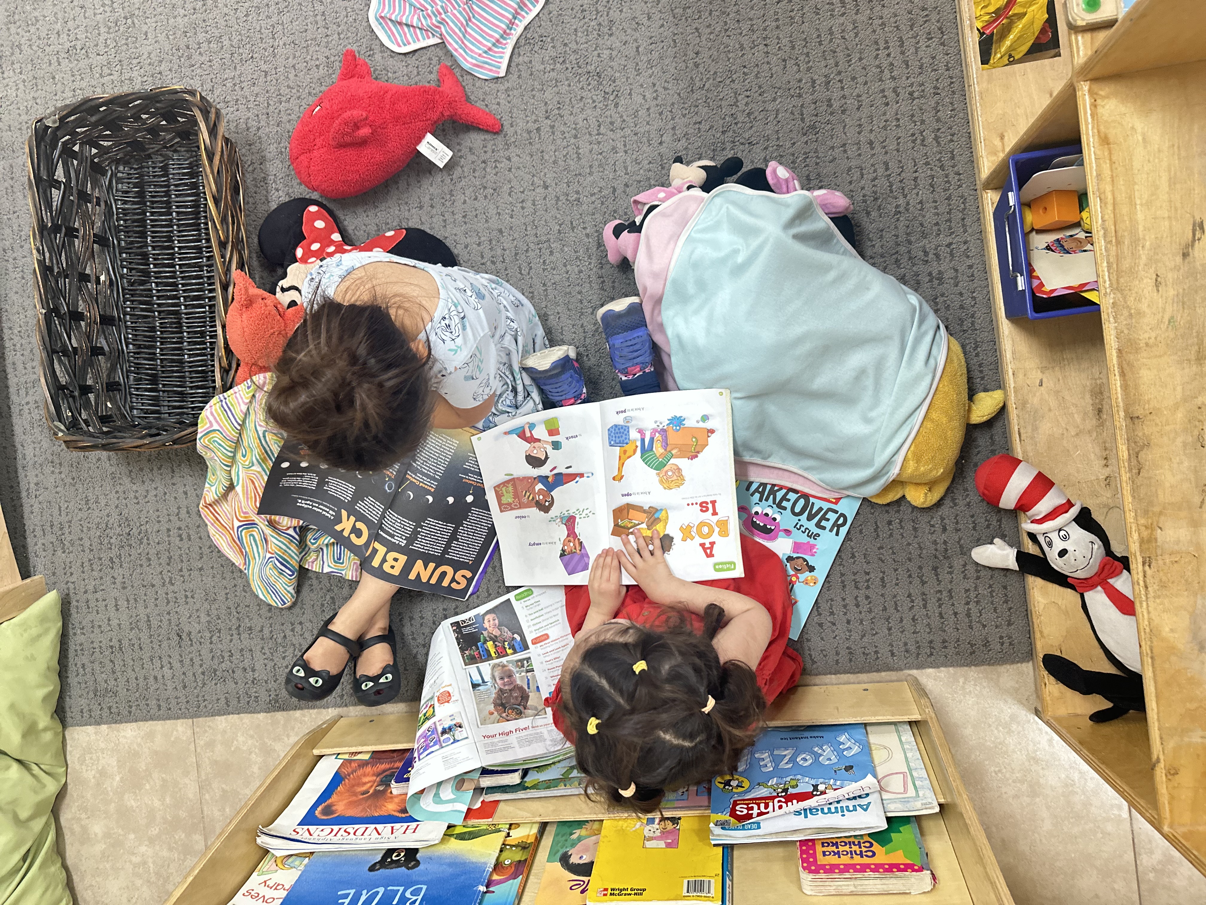 Young Toddlers Program